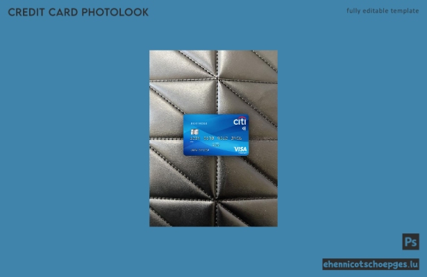 USA Citibank Visa Platinum Karte Fotoansicht Beispielvorschau